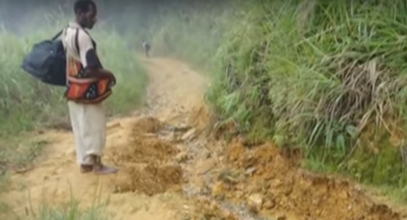 PNG Coffee Farmers Need Road Access – EMTV Online - 800 x 434 png 474kB