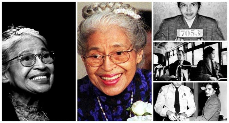 rosa parks story line