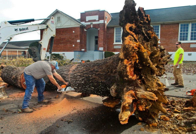 Dominick Curran cuts up a huge tree in front of Rehobeth Middle School after a deadly storm hit Rehobeth, Alabama, U.S., January 3, 2017. REUTERS/Phil Sears