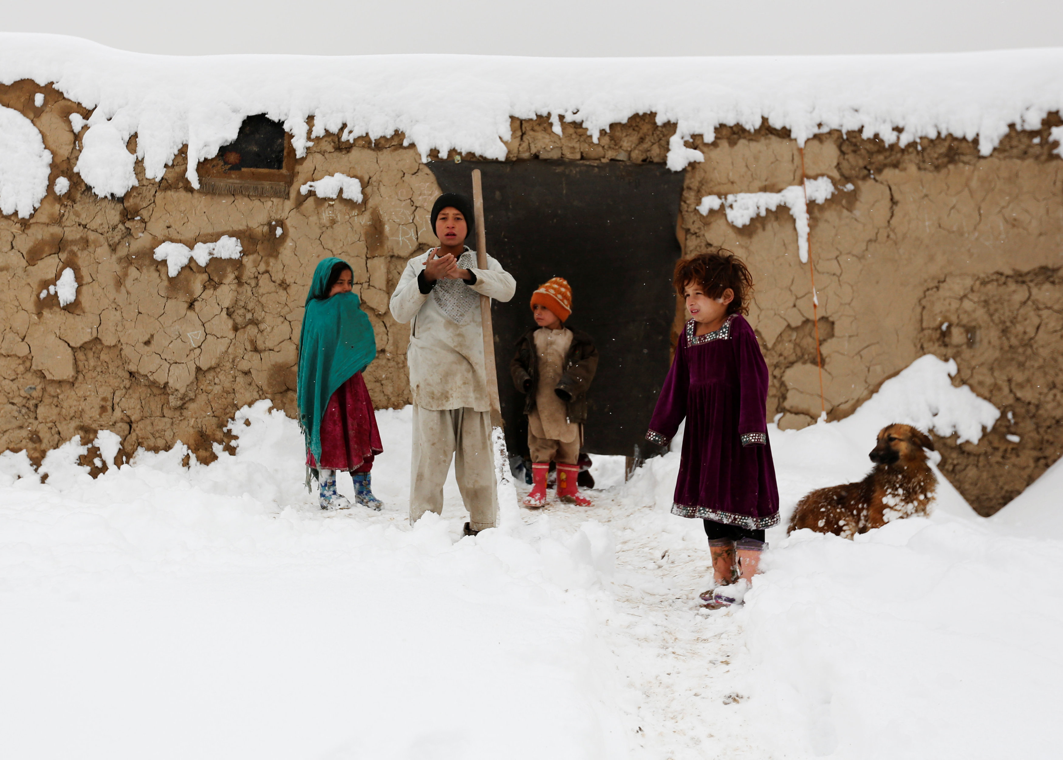 Internally displaced Afghan children stand outside their shelter during a snowfall in Kabul, Afghanistan February 5, 2017. REUTERS/Mohammad Ismail