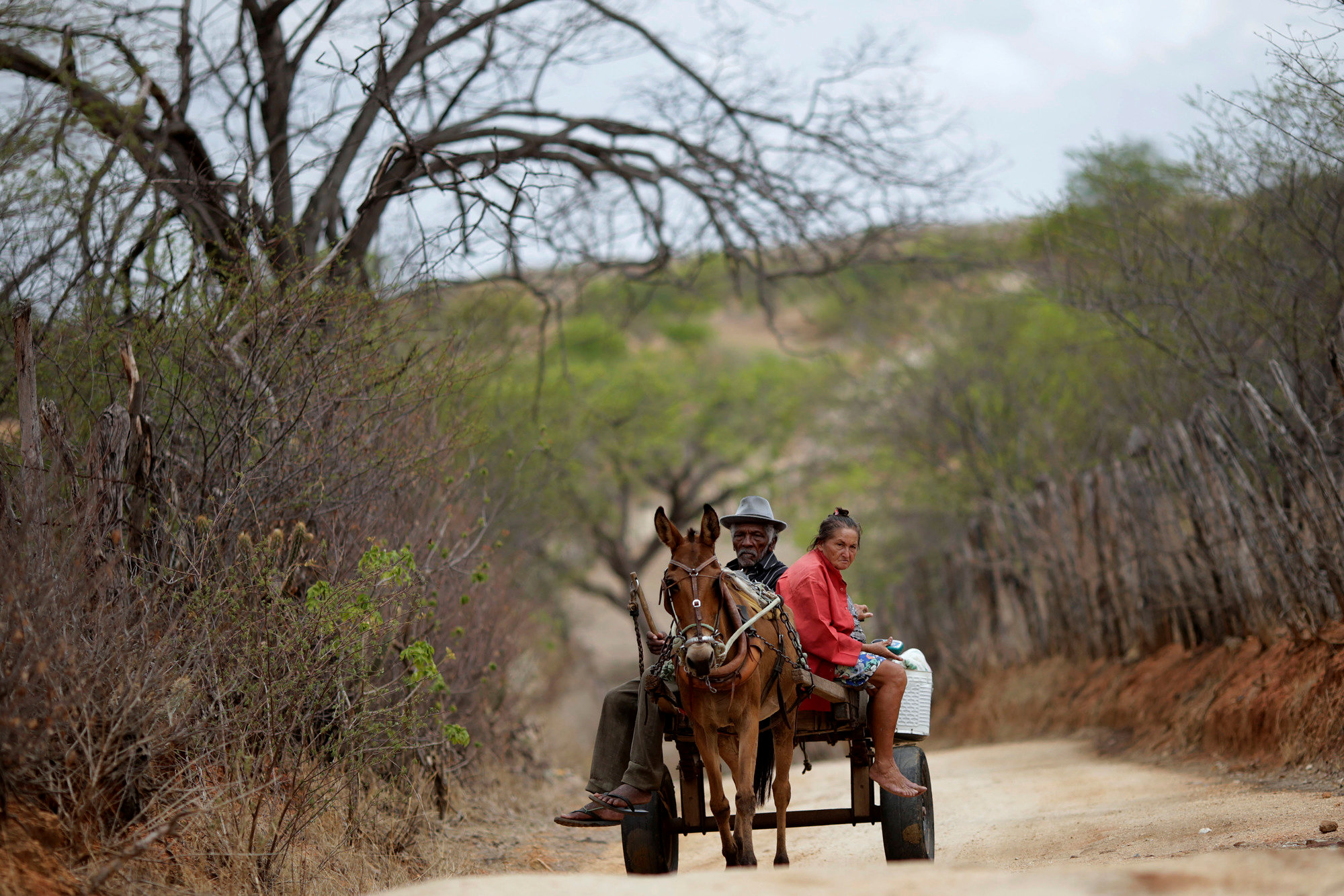 Francisco Barbosa Cruz (L), 82, and his wife Maria de Lourdes, 65, ride on a horse carriage in Pombal, Paraiba state, Brazil, February 11, 2017. REUTERS/Ueslei Marcelino