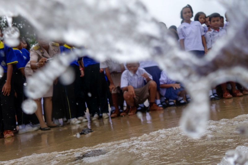 Well-wishers release sea turtles at the Sea Turtle Conservation Center as part of the celebrations for the upcoming 65th birthday of Thai King Maha Vajiralongkorn Bodindradebayavarangkun, in Sattahip district, Chonburi province, Thailand, July 26, 2017. REUTERS/Athit Perawongmetha