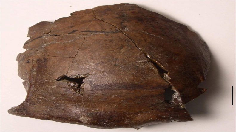 Ancient Papua New Guinea skull called oldest-known tsunami victim ...