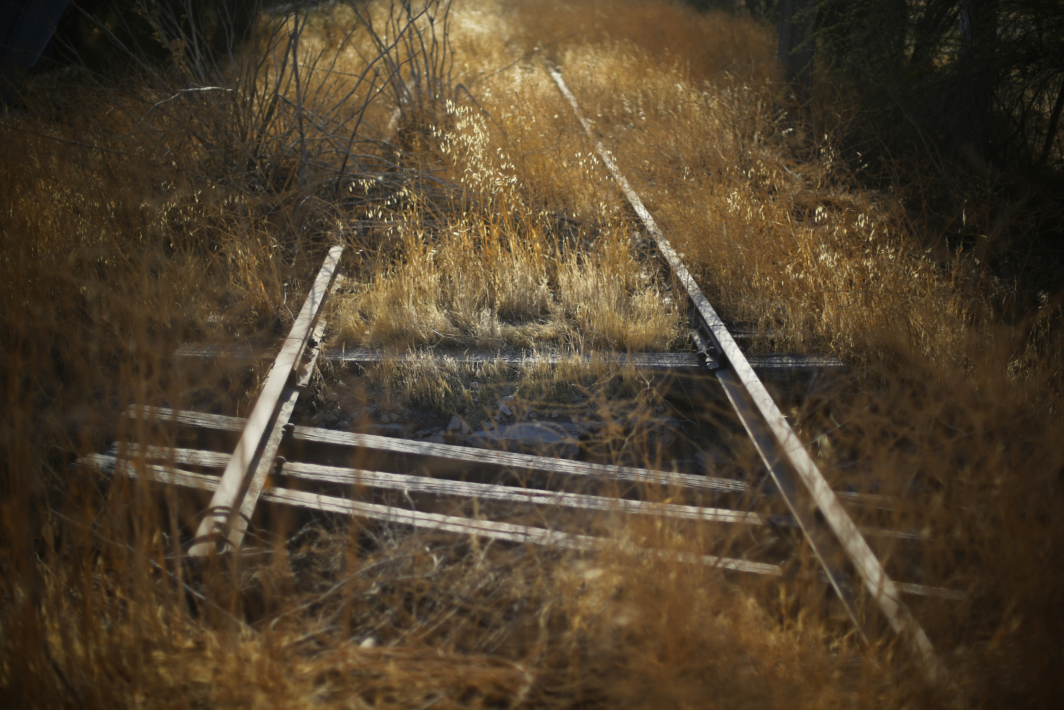 Grass surrounds a disused train tracks which were used by a cement plant in rural area close to Til Til, Chile, February 23, 2018. REUTERS/Ivan Alvarado
