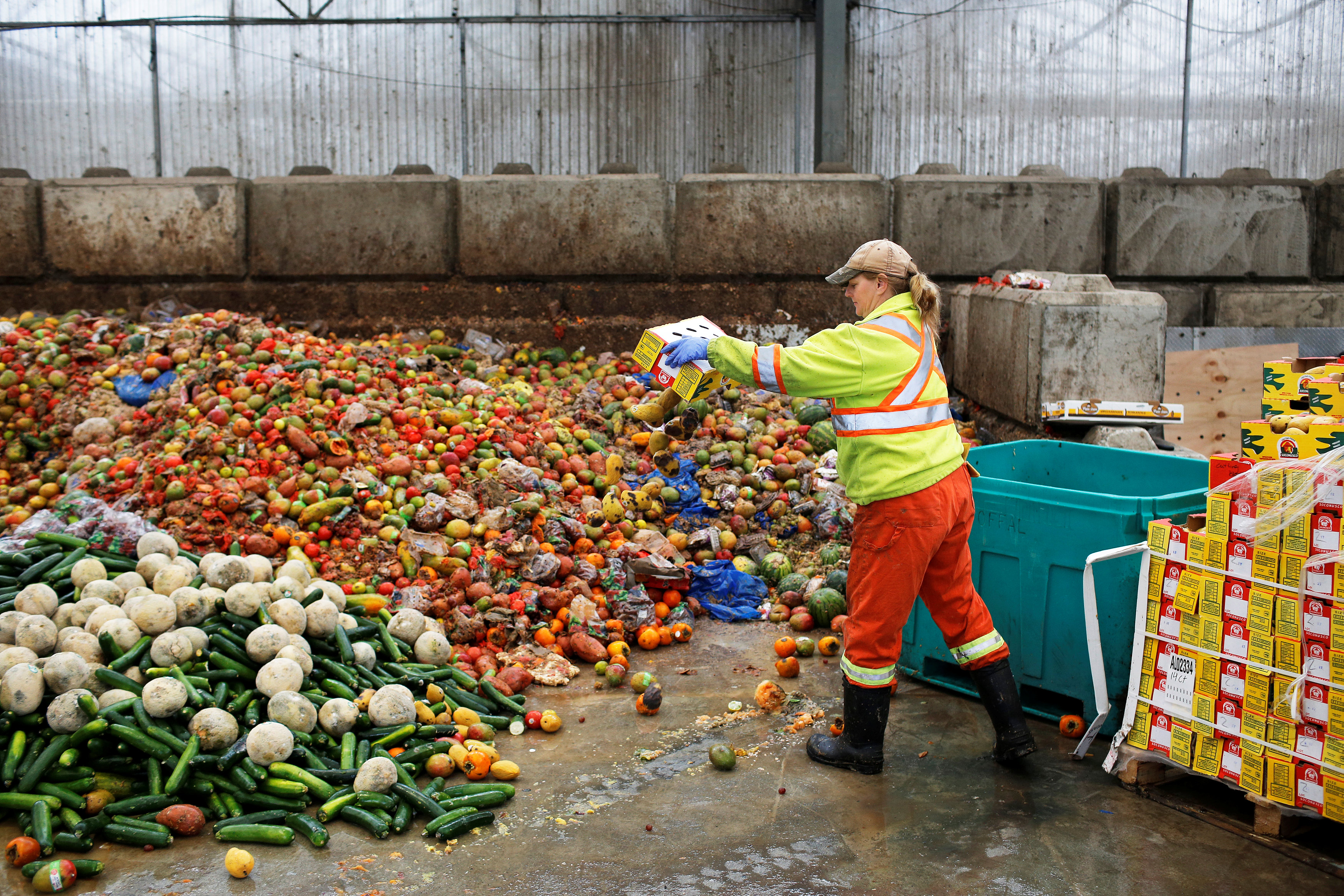A worker dumps pre-consumer food waste before being feed to black soldier fly larvae at the Enterra Feed Corporation in Langley, British Columbia, Canada, March 14, 2018.  Picture taken March 14, 2018.  REUTERS/Ben Nelms