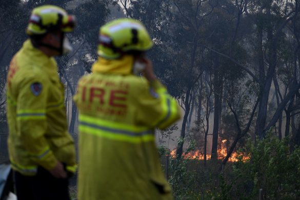 NSW Rural Fire Service and Fire and Rescue NSW personnel conduct property protection as a bushfire burns in Woodford NSW, Australia, November 8, 2019. AAP Image/Dan Himbrechts/via REUTERS