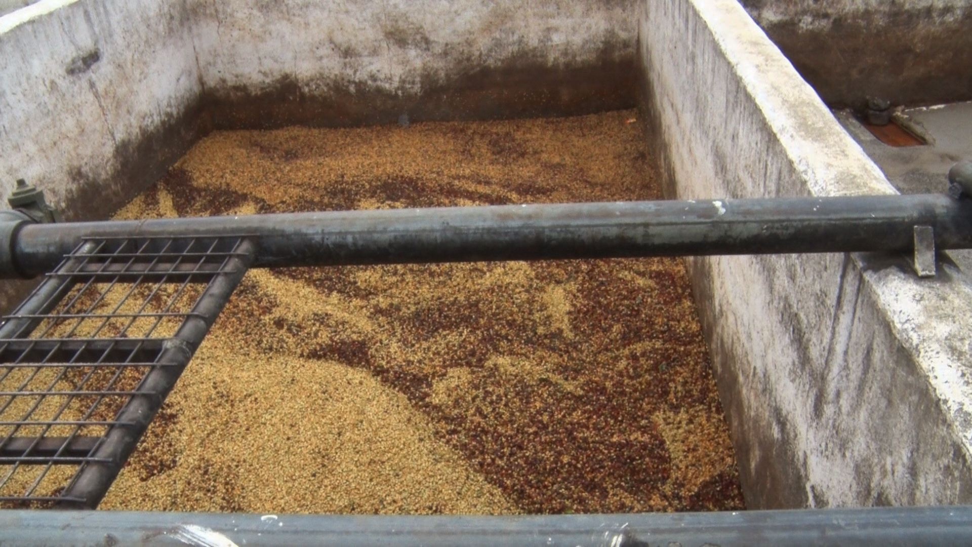 PNG has 100+ dry and wet coffee mills EMTV Online