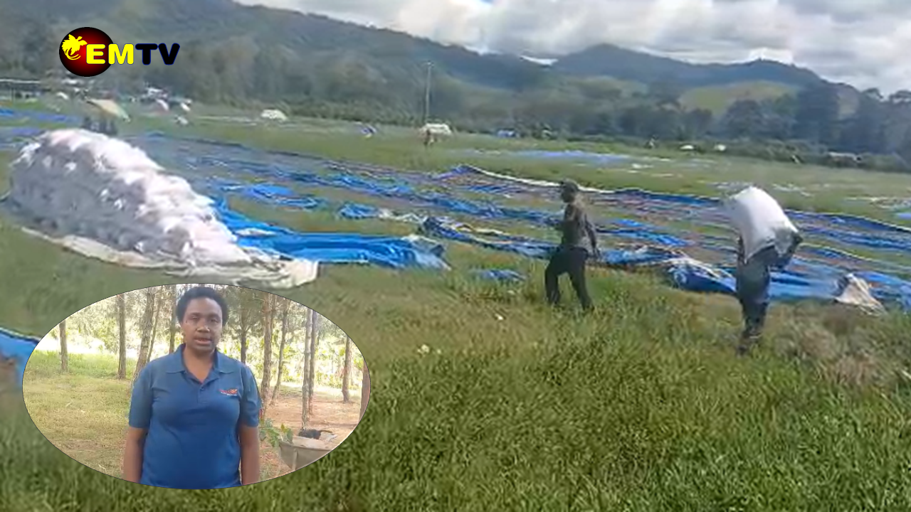 FARMERS RECEIVE SEEDLINGS